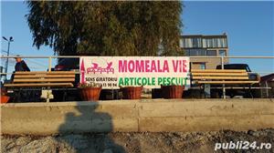 bannere publicitare - imagine 2