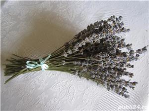 Rochie  vintage din stofa din lana verde cu dungi + bonus si livrare gratuita* - imagine 7