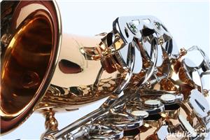 Alto Sax Karl Glaser AURIU+ARGINTIU NOU ALT curbat Saxophone Germania - imagine 2