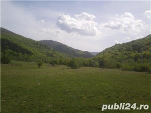 Teren deosebit zona Sebes de Brasov 11  EU - imagine 7