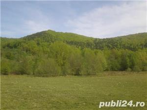 Teren deosebit zona Sebes de Brasov 11  EU - imagine 5