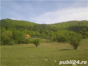 Teren deosebit zona Sebes de Brasov 11  EU - imagine 3