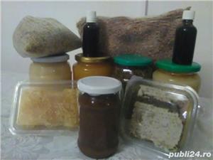 Miere de albine poliflora (floarea -soarelui și armurariu)  ,100% naturala  - imagine 3