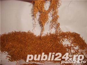 vand tu'tun de calitate t'ocat ! - imagine 2