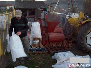 Accord Bourgoin Bamby---Batoza porumb stiuleti profesionala (Masina de curatat) - imagine 3