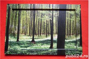 decoratiune Tablou Vintage -Just Forest 60x40 cm-un Cadou inedit - imagine 1