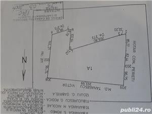 Teren in Slobozia, loturi de la 500 mp dintr-o parcela de 58.000mp langa pădurea de la ferma Hermes - imagine 3