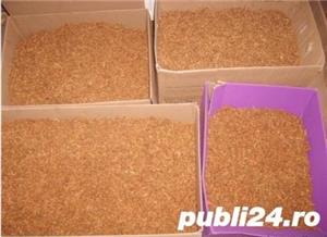 vand .firi.cel de calitate .  - imagine 4