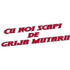 Transport marfa mutari mobila bagaje  mutari diverse ridic moloz debarasari apartamente boxe subsol  - imagine 3