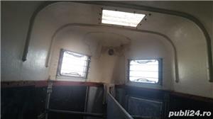 Transport animale(cai ,vaci ,potci,caini pisici,....s.a)