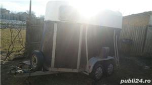 Transport animale(cai ,vaci ,potci,caini pisici,....s.a) - imagine 4