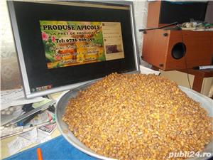 vand pastura , propolis, polen  - imagine 4
