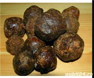 Propolis - imagine 4