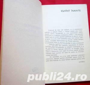 Peregrinari in arta romaneasca, Petre Oprea, 1975 - imagine 5