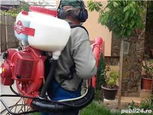 TAIERI Stropiri si tratamente la pomi - imagine 3