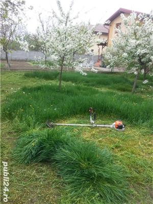 TAIERI Stropiri si tratamente la pomi - imagine 6