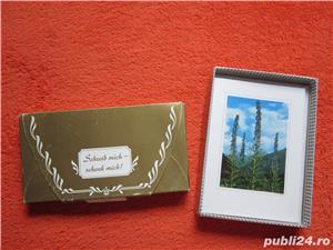 Vintage / Retro  Felicitari  de colectie  - 2 seturi