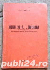 Moldova sub Al. I. Mavrocordat, Ioan I. Velicu