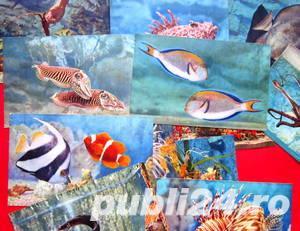 Carti postale, Acvariul din Monaco - imagine 5