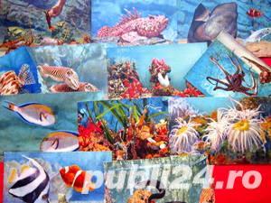 Carti postale, Acvariul din Monaco