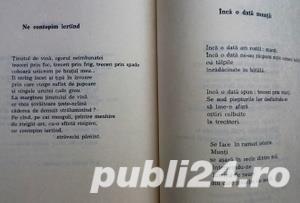 Un spatiu al iubirii, Mihai Negulescu, Autograf - imagine 8