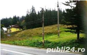 teren Predeal, intravilan, 10.000 mp - imagine 7