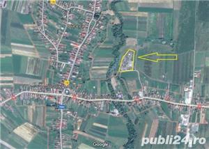 Teren intravilan 14600 mp la Breaza, Mures  - imagine 7