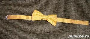  papioane moderne - imagine 4