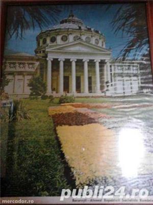 Vand /schimb tablou de colectie