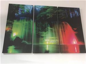 Tablouri canvas personalizate - imagine 2
