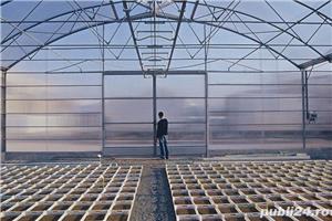 Sere pentru legume - imagine 3