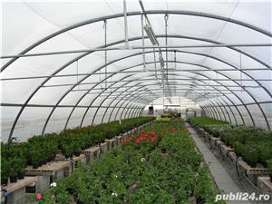 Sere pentru legume - imagine 6