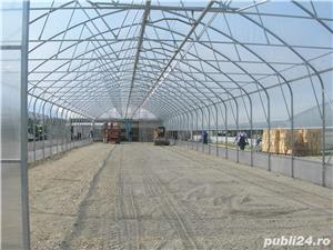 Sere Europrogress - imagine 3