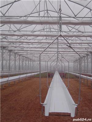 Sere Europrogress - imagine 4