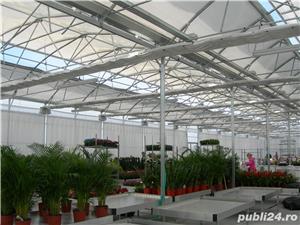 Sere Europrogress - imagine 6