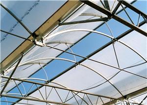 Retehnologizare sere floricultura - imagine 2