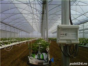 Sere pentru capsuni - imagine 2