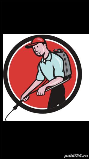 Dezinsectie Dezinfectie Deratizare (DDD) - imagine 2