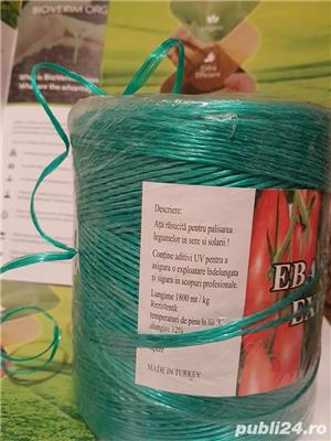 Foarfeci vie si crengi - imagine 5