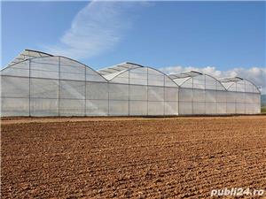 Sere folie MultiArt - imagine 4