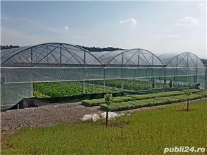 Sere profesionale pentru submasura 16.1a - Transfer tehnologic