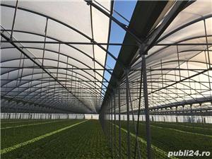 Sere folie MultiMed - imagine 3