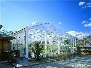 Sere sticla Botanic Garden