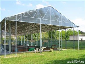 Sere Sportive / Activitati