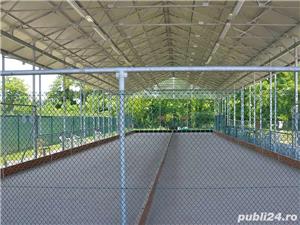 Sere Sportive / Activitati - imagine 2