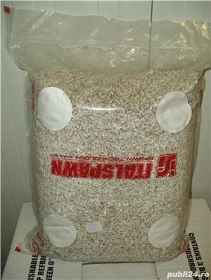 Miceliu pentru ciuperci Champignon, Pleurotus(Italspawn)