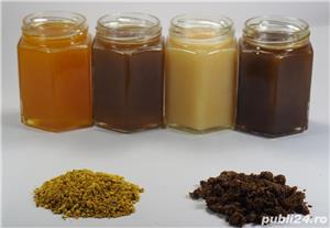 Vand miere albine direct din stupina, jud. Arad - imagine 2