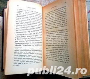 Teze si antiteze, Camil Petrescu - imagine 5