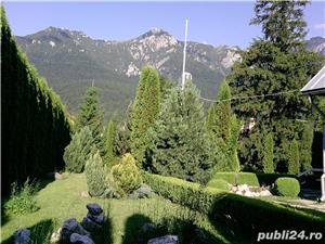 Vand teren Busteni, Piatra Arsa, 1747 mp - imagine 2