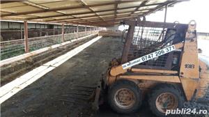 Curat saivane grajduri de animale - imagine 5